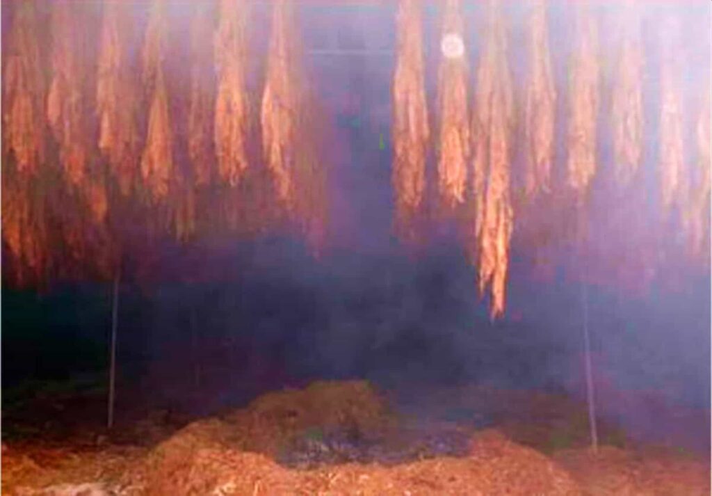 Дымный аромат табака Латакия огненной выдержки
